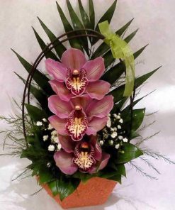 Aranžman - 3 orhideje u korpi