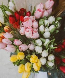 Arrangements‎ and Bouquets