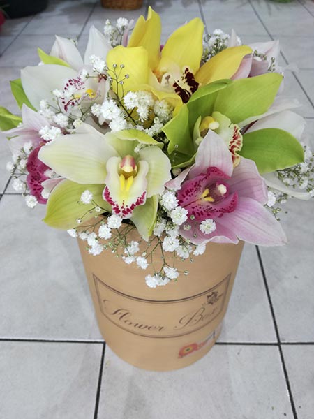 Flower box with 11 orchids
